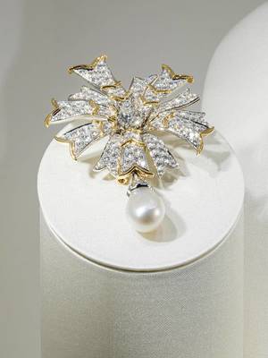 蒂芙尼在沪呈献Diamonds & Wonders璀钻绮境高级珠宝展